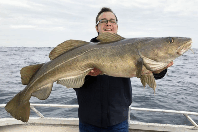 https://norwayfishingsmola.com/wp-content/uploads/2025/06/COD-640x427.png